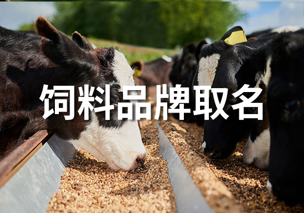 飼料品牌取什么名字好？
