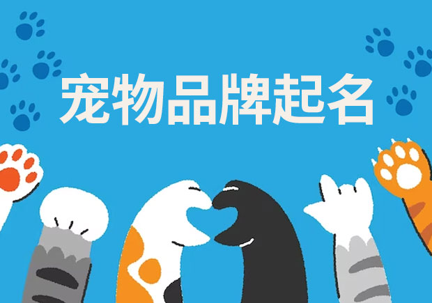 探索寵物品牌起名的奧秘：技巧、來歷與差異