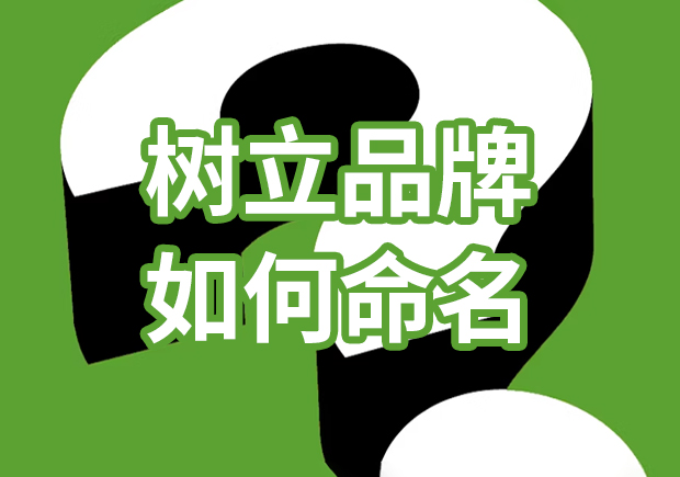 品牌獨(dú)角獸：樹立品牌如何命名，引爆市場熱潮