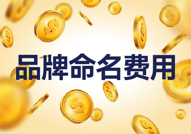 國內(nèi)外品牌命名費(fèi)用是多少？