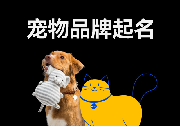 寵物品牌起名怎么?。汉妹质莿?chuàng)意與市場的完美融合